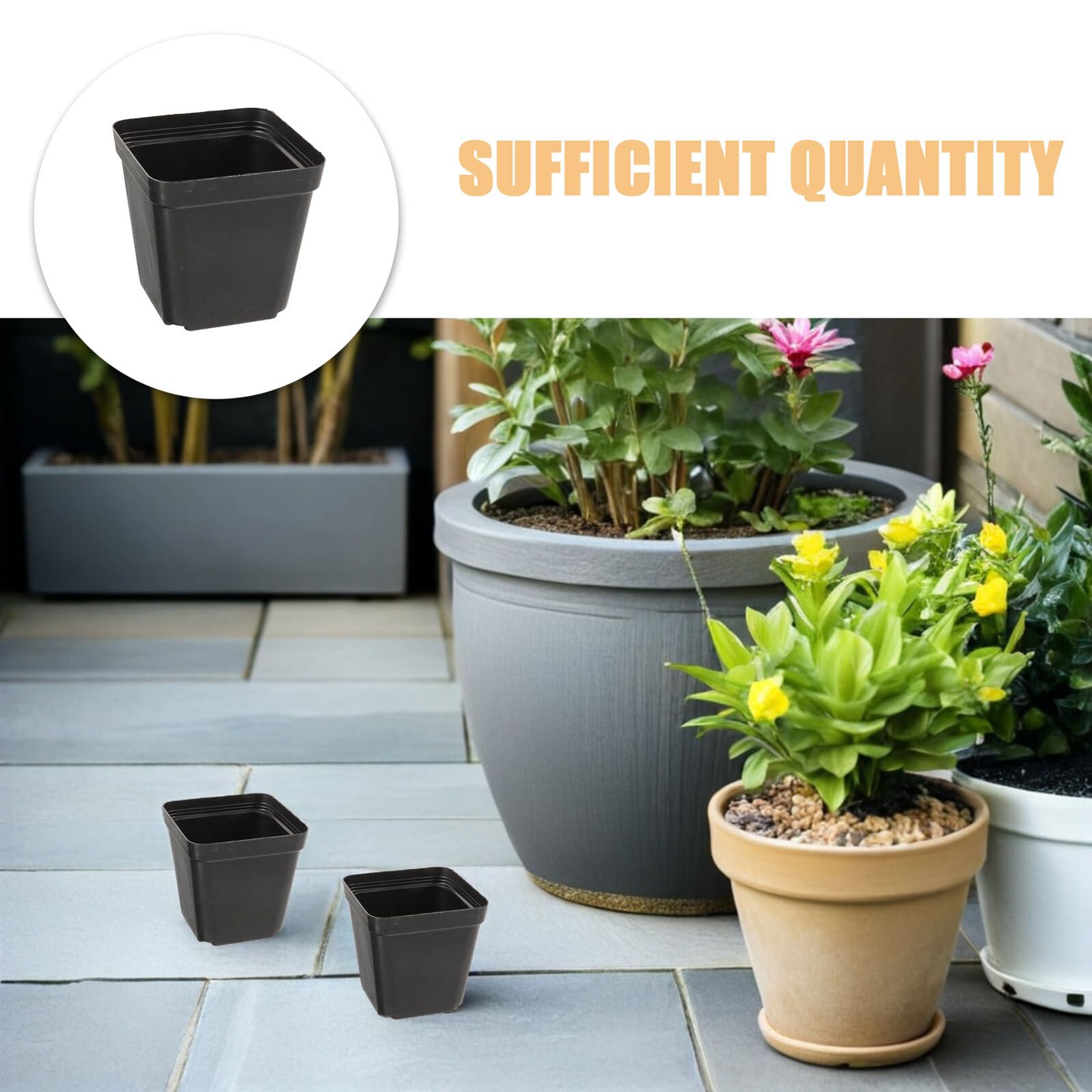 NUOBESTY 100 Pièces Lot de Pots Carrés Noirs pour Semis Pépinière Plastique Drainante pour Plantes Intérieur Succulentes et Boutures Conteneurs de Culture Compacte et Stables