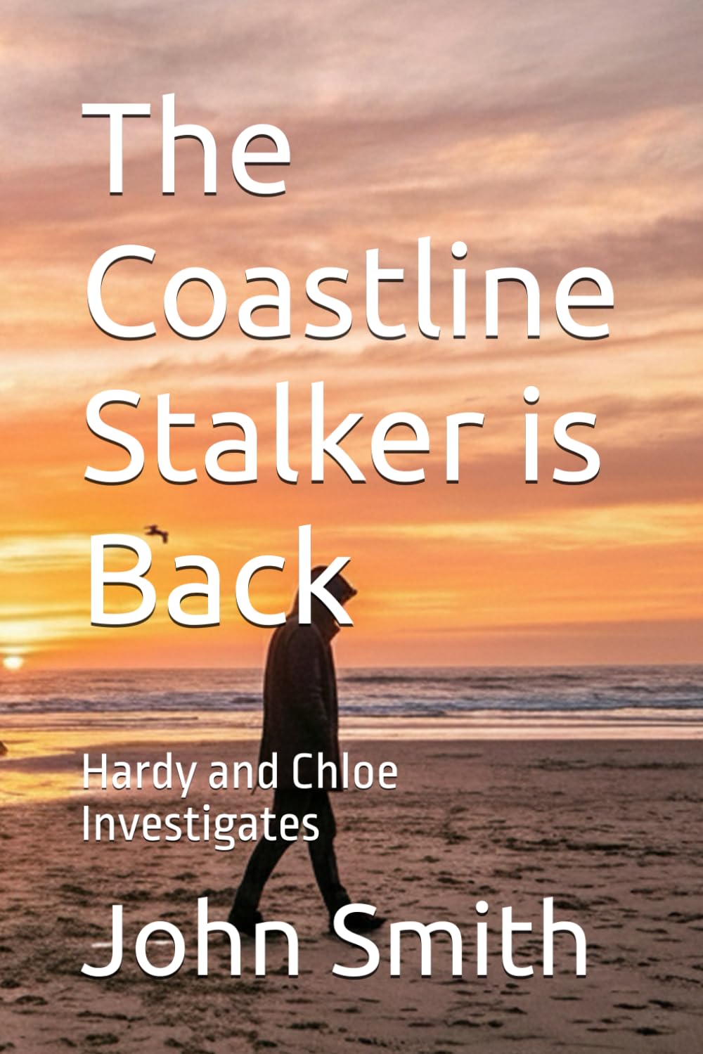 The Coastline Stalker is Back: Hardy and Chloe Investigates: 2