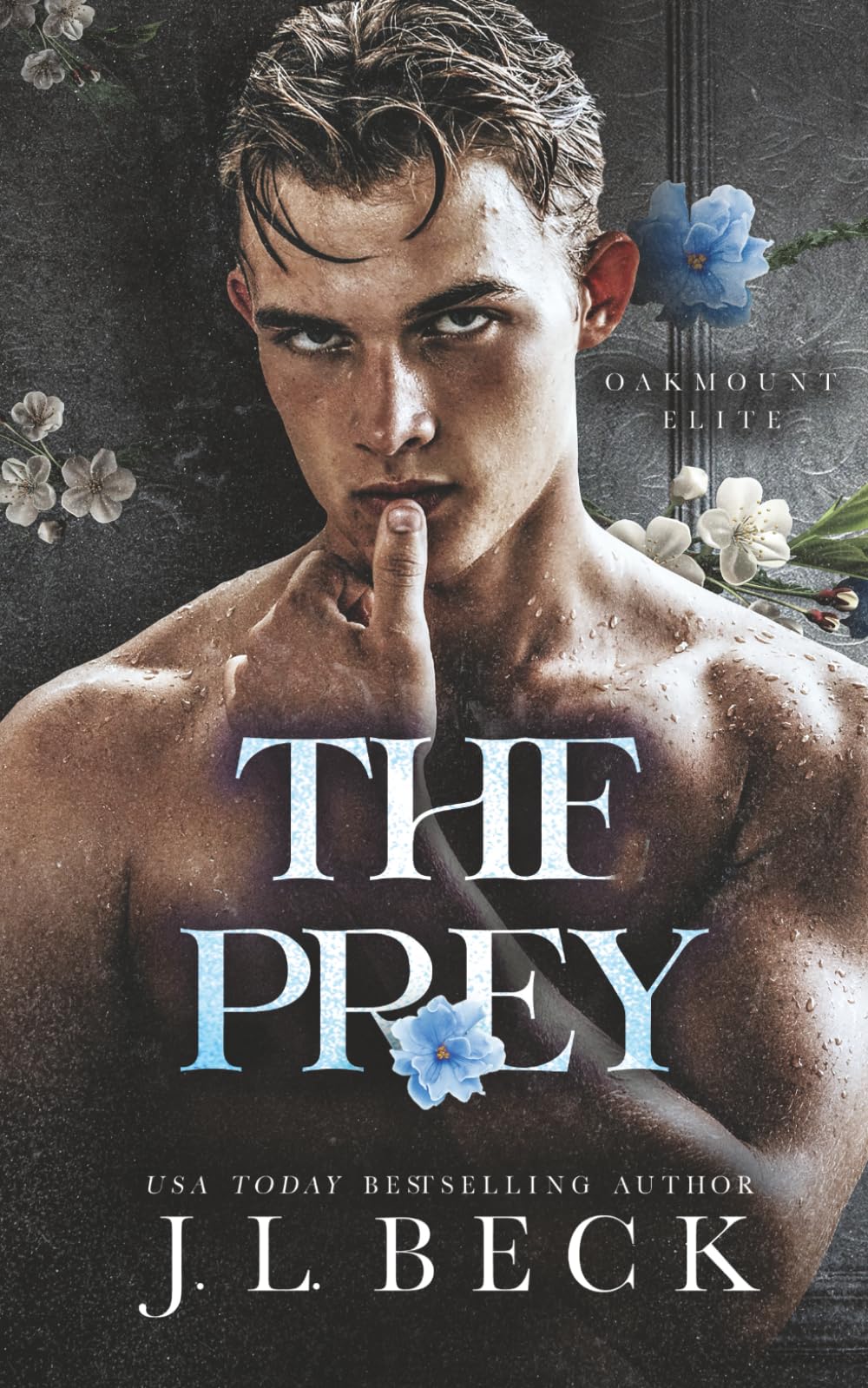 The Prey: Die Beute: dunkle Feinde für Liebhaber (Oakmount Bully)