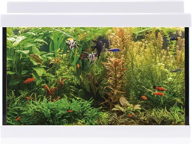 Kit Interior Aqualed 20 Blanco - Acuario 20 Litros Completo con LED