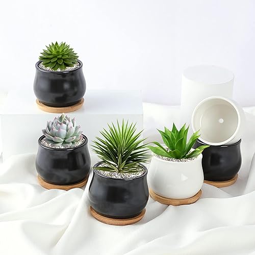 Miniatura 7 de Paquete de 2 macetas para suculentas, mini macetas de cerámica de 2.5 pulgadas para plantas de flores o cactus con orificio de drenaje, plantas no