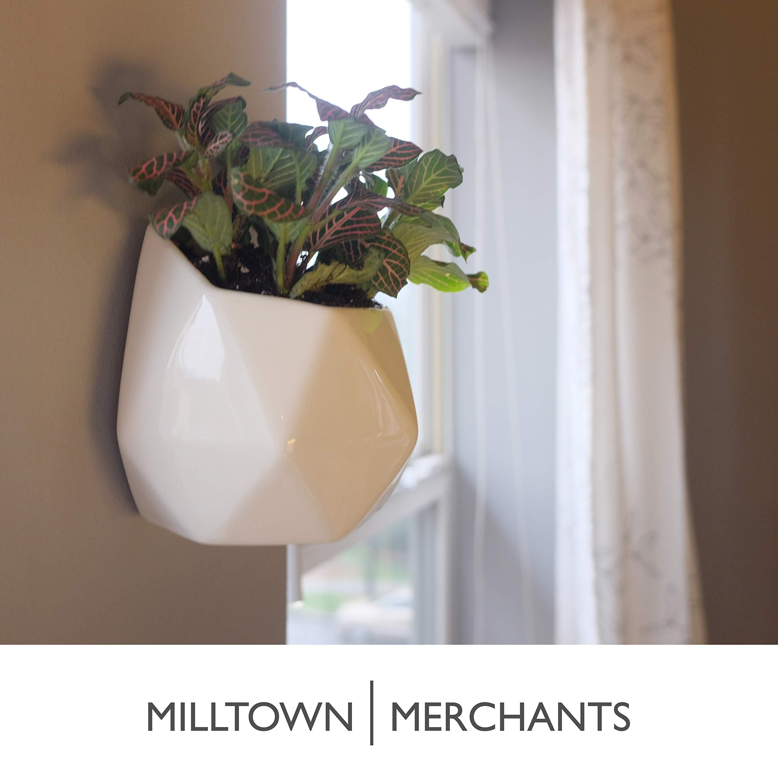 Milltown Merchants Sukkulenten-Wandvase, Keramik, Weiß – Hängender Pflanzentopf Für Moderne Deko