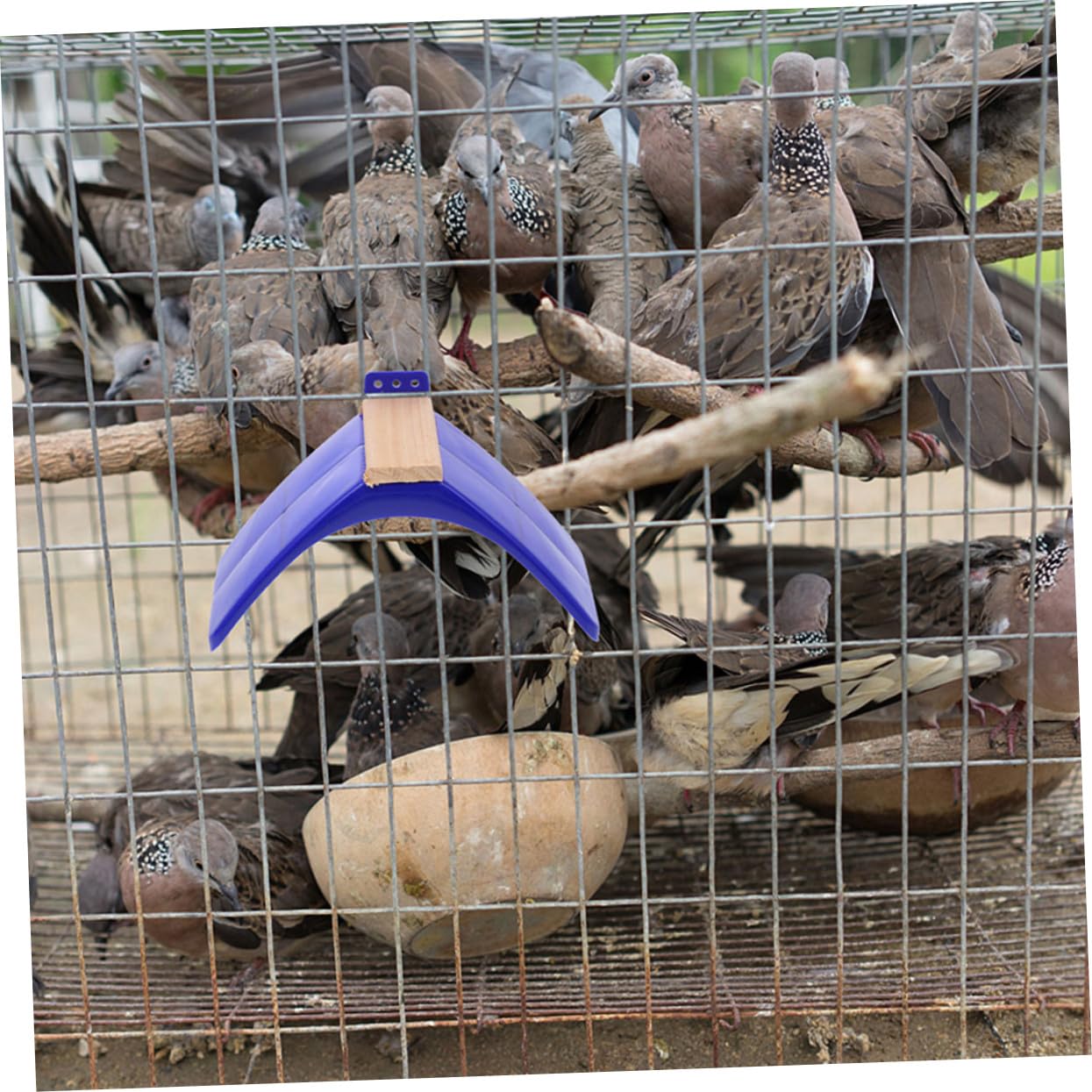 10 pièces Support Perchoir Oiseaux Bois Stand Multifonction pour Pigeons et Perroquets Barres Lisses et Sûres pour Repos et Jeu Adapté Aux Oiseaux Moyens et Grands Accessoire pour