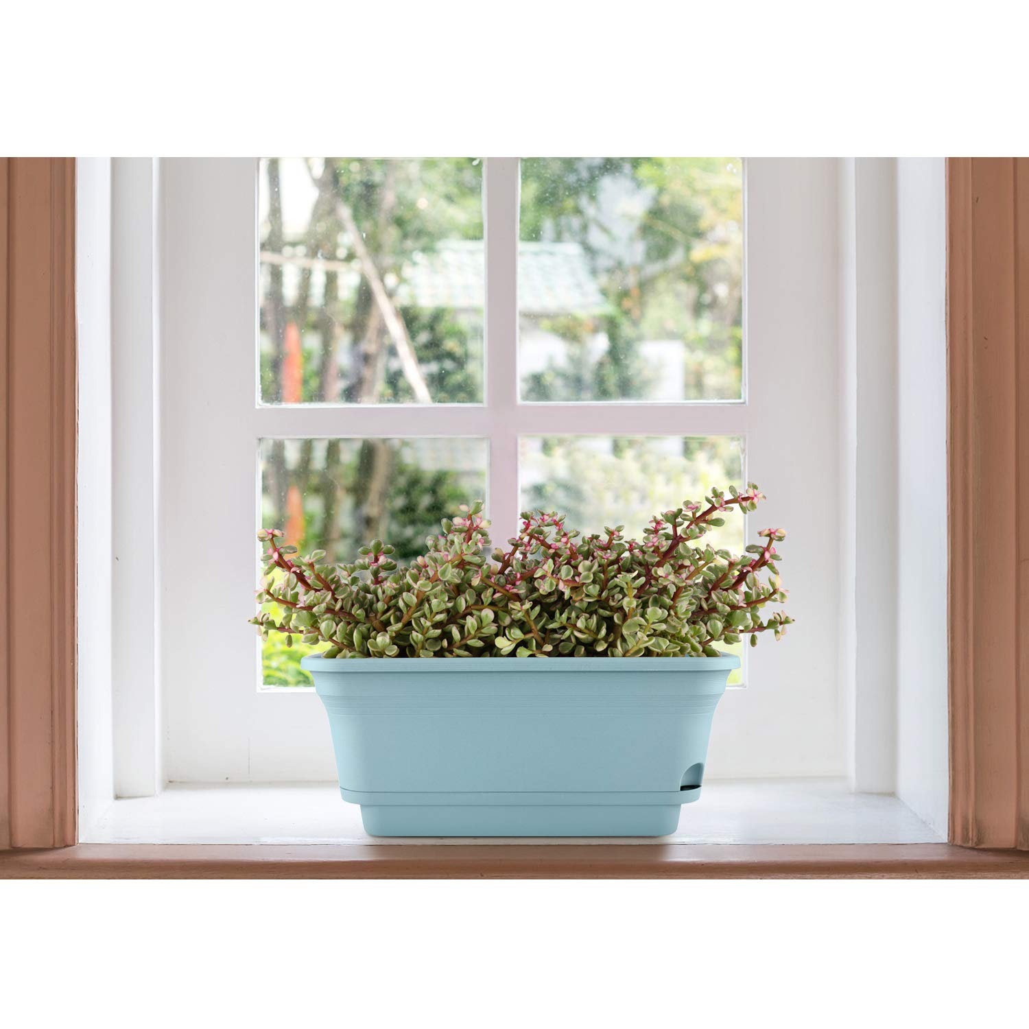 Amazon | T4U 40cm プラスチック製 植木鉢 底面給水鉢 長方形