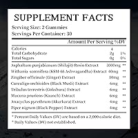 Vista 7 de Shilajit Gummies 3000MG Pure Himalayan Gold with Fulvic Acid Pure Shilajit for Men Supplements Natural Rejuvenation, Improve Endurance &