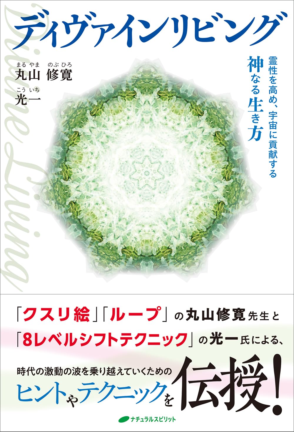 【カタカムナDVD】 一瞬で痛みを消し去り 症状、病気を癒す :丸山修寛 丸山 修寛 奇跡の医学 カタカムナ～一瞬で痛みを消し去り 症状