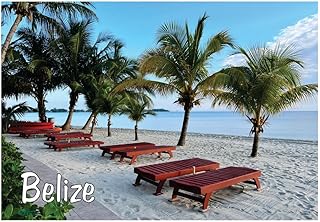 Belize, Beach, Sand, Palm Trees, Central America, Caribbean Sea, 2 x 3 inch Refrigerator Magnet, Fridge Magnet, Travel Souvenir, Gift