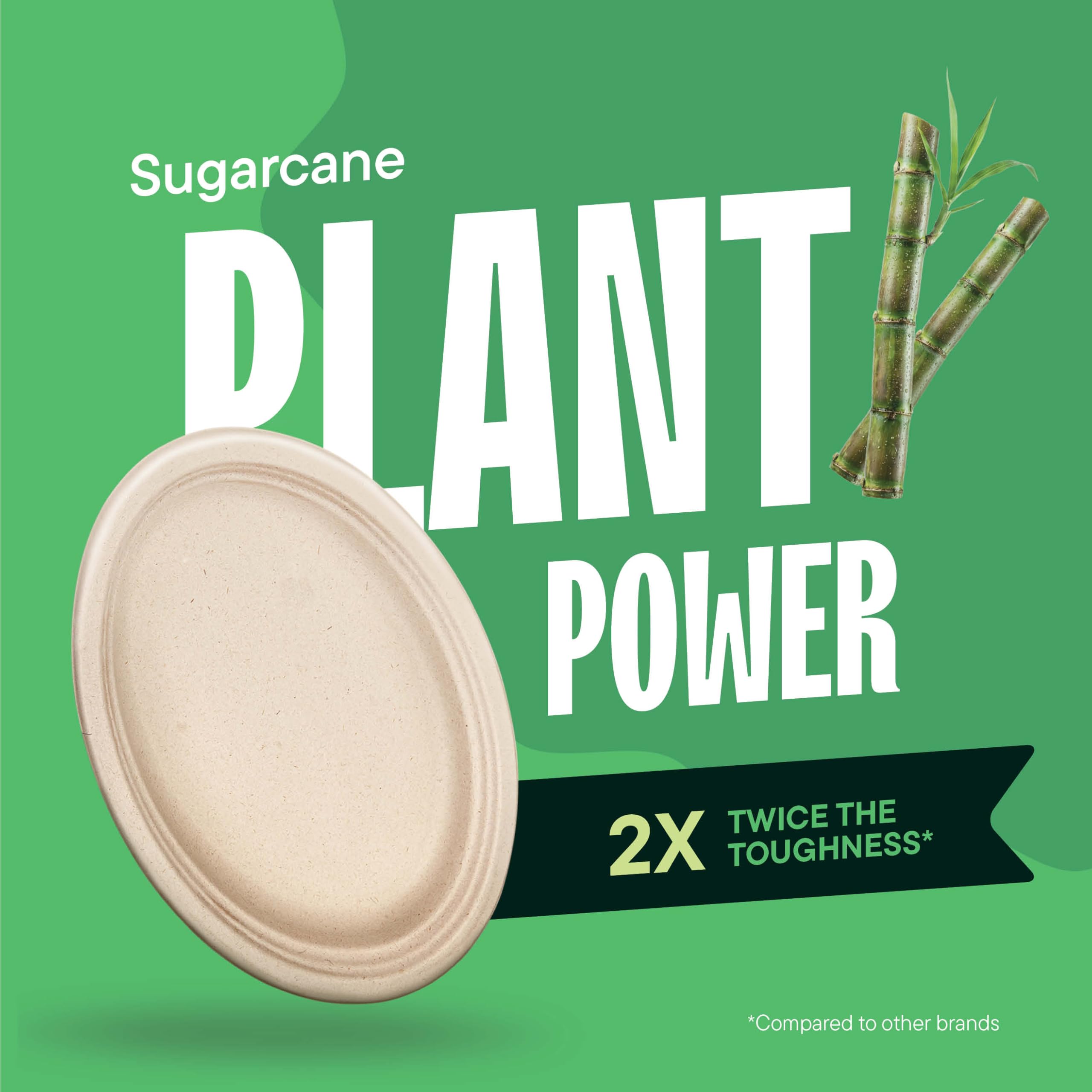Compostable Paper Plates - 50 Pack -5