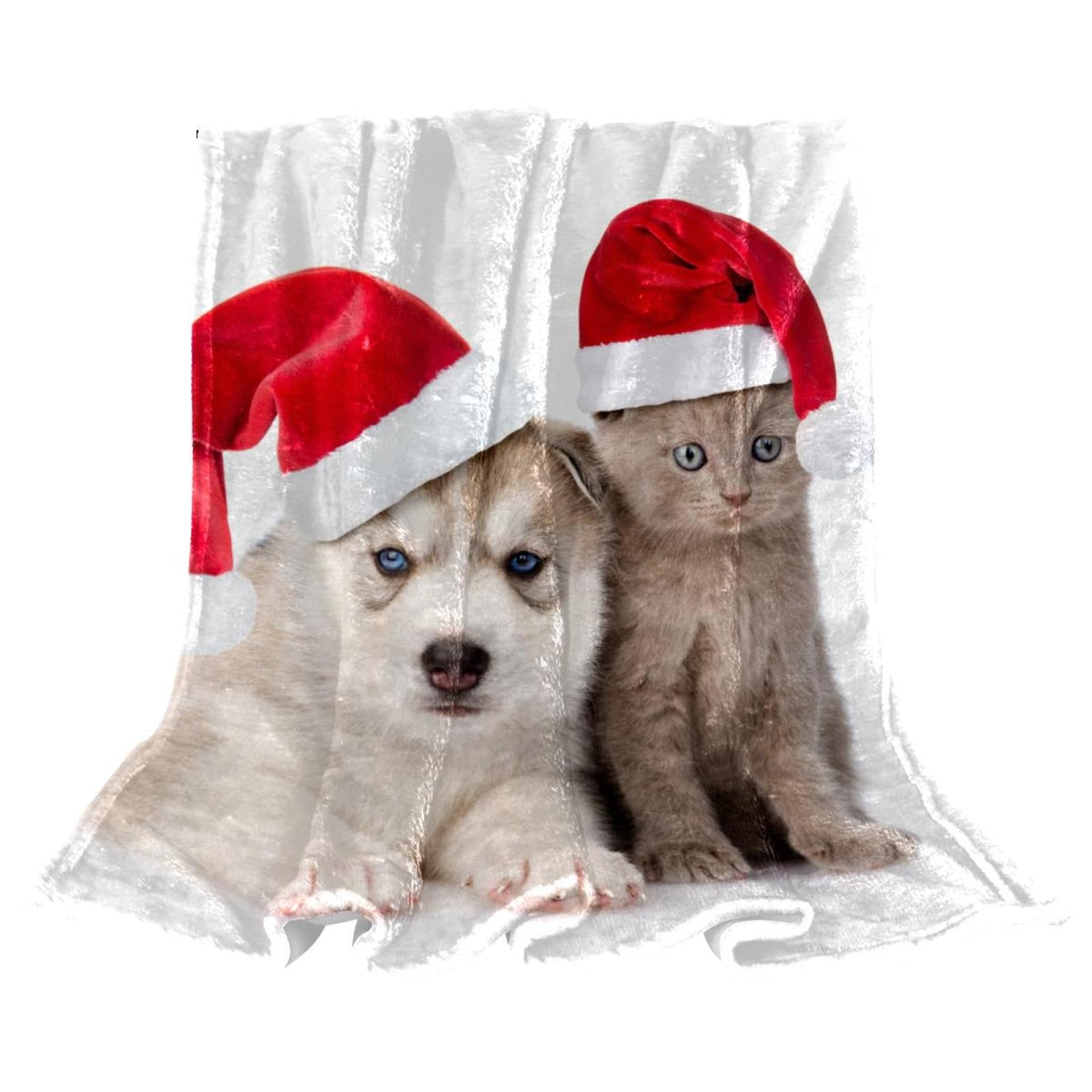Couverture Polaire Chien Et Chat Couverture Microfibre Chaude Et Douce Jeté De Canapé Couverture 150×200cm