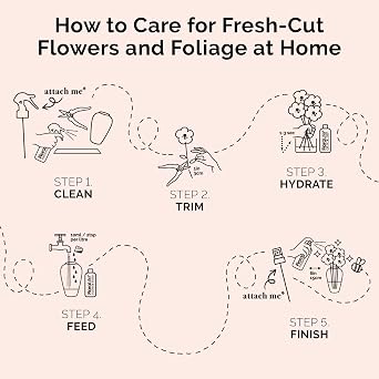 FloraLife Liquid LeafShine - Cleans and Shine Foliage - 20oz
