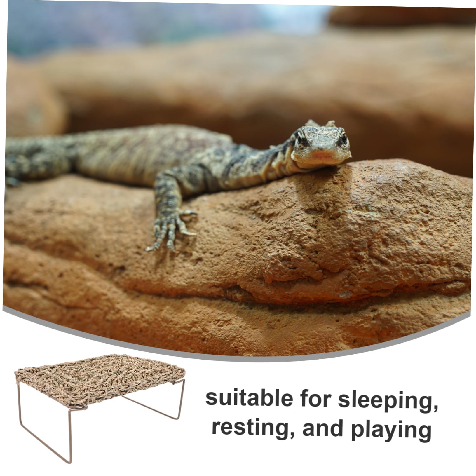 Angoily Reptilienbed Lizard Lounger Mit Stabilem Eisenrahmen Gewebte Strohmatte Schlafplatz Für Eidechsen Und Bartagamen Vielseitiges Haustierzubehör