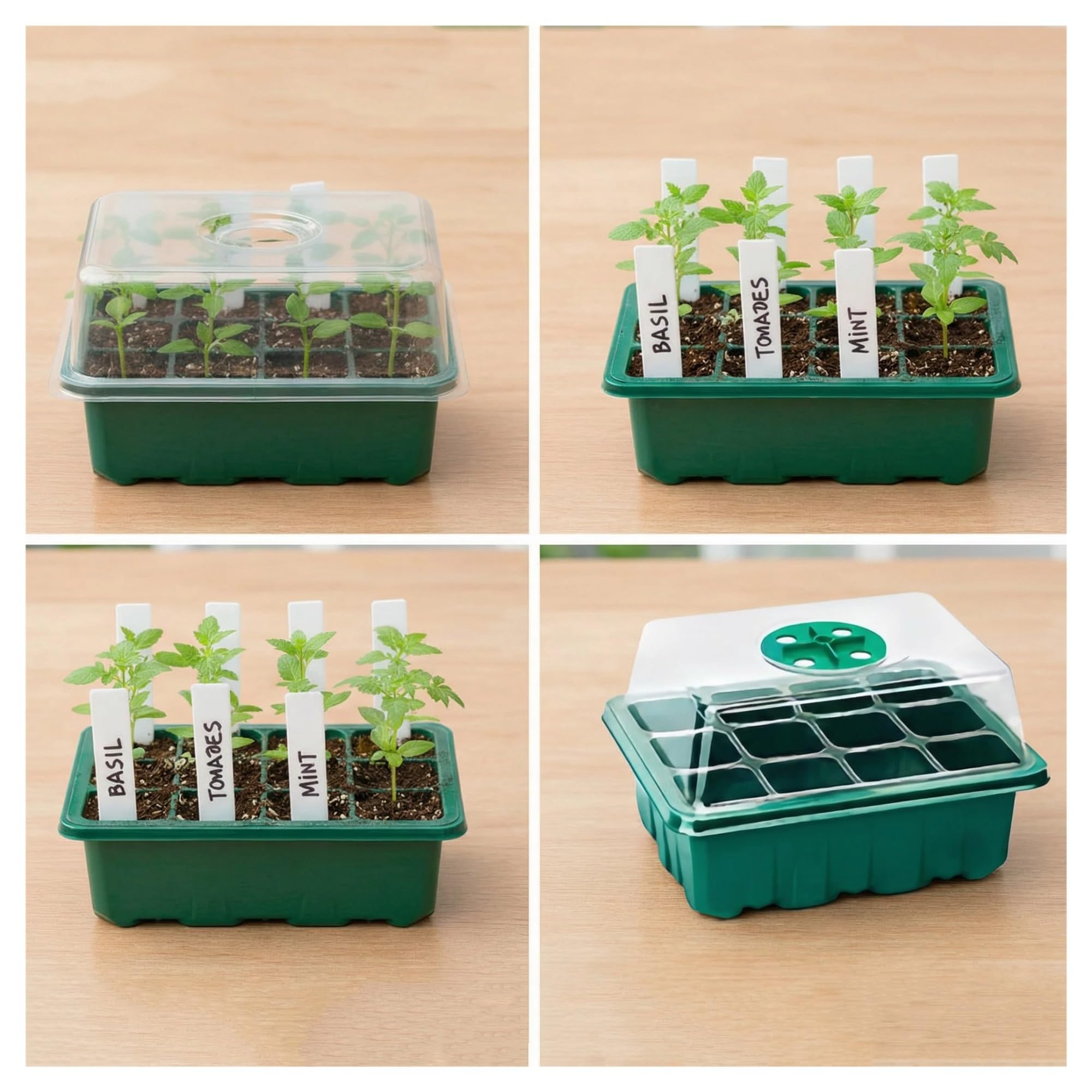 Plaque Semis Plateau de démarrage de graines, Kits de semis, Kit de démarrage de Plantes avec dôme d'humidité et Base, Mini propagateur de Serre intérieure, 5/10 Paquets(10Pack Green)
