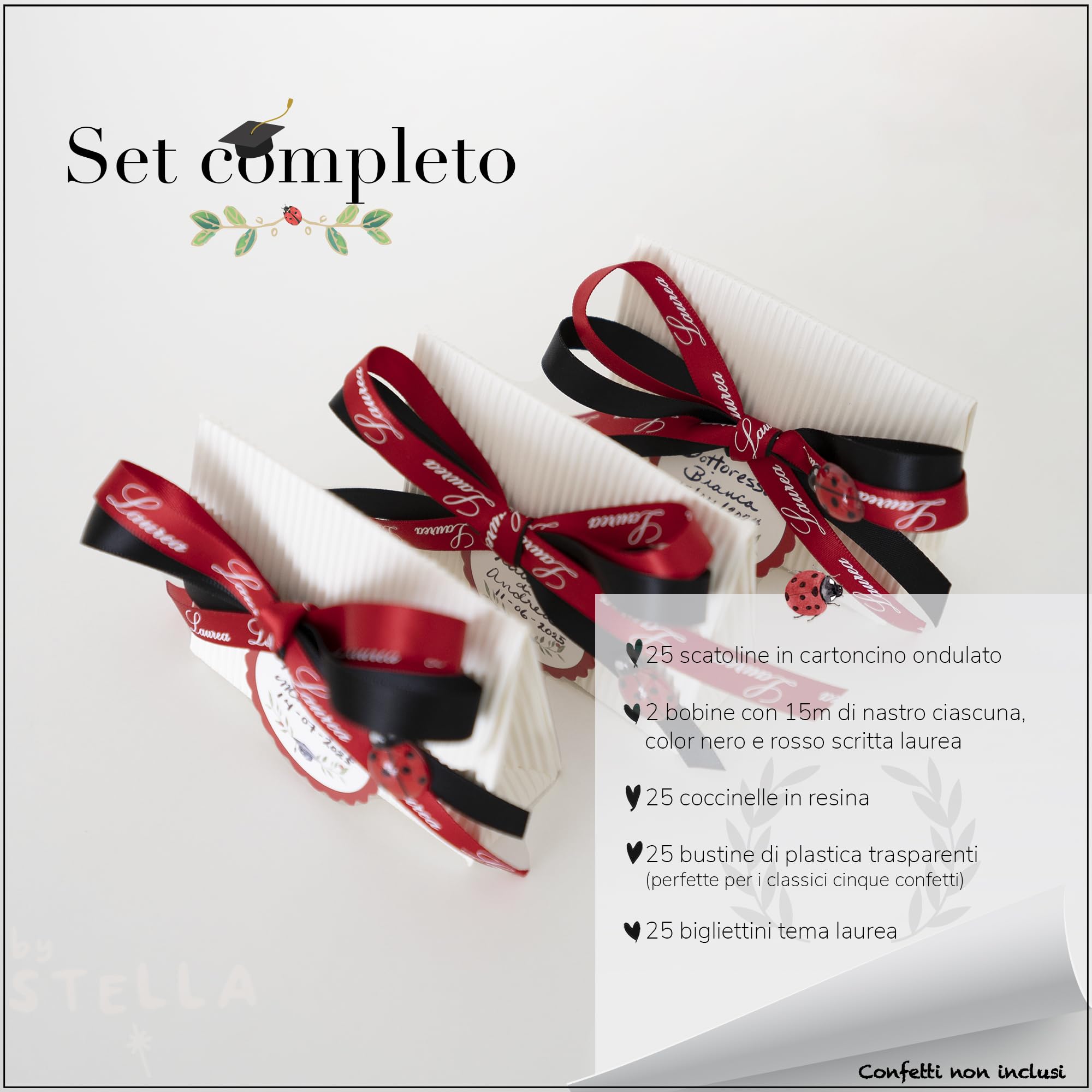 Set Completo Bomboniere Laurea, Scatoline Portaconfetti con Coccinelle, Bigliettini, Doppi Nastri e Sacchettini, 25 Pezzi