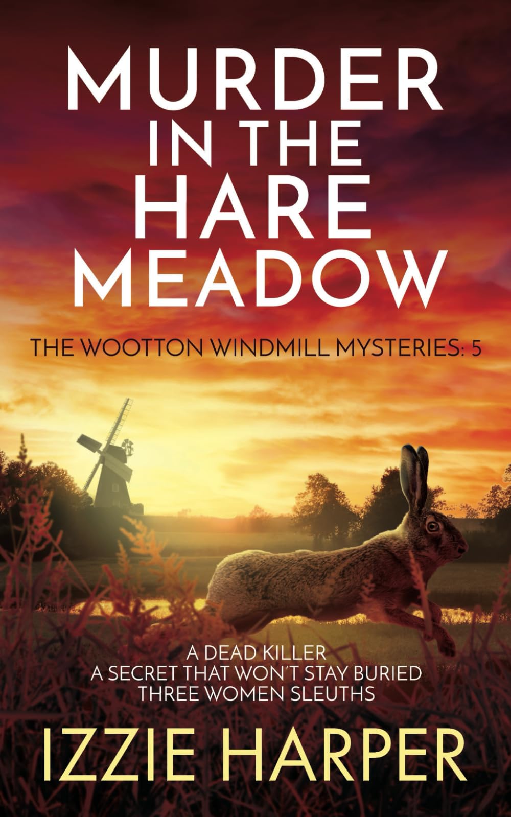 Murder in the Hare Meadow (The Wootton Windmill Mysteries)
