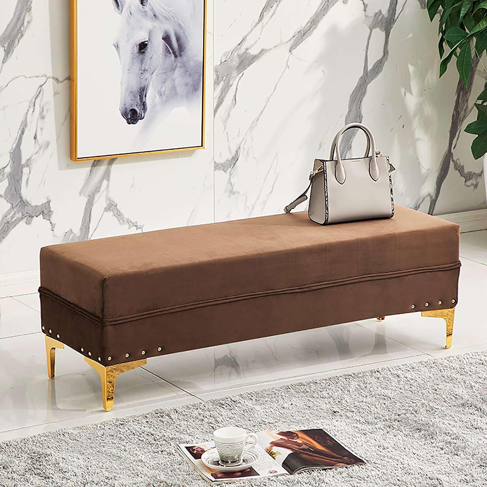 SXZenSpace Luxurious Storage Ottoman Bench,Velvet Upholstered Footrest End Of Bed Bench With Storage,Modern Living Room Entryway Shoe Changing Stool-Brown 100x40x40cm(39x16x16inch)