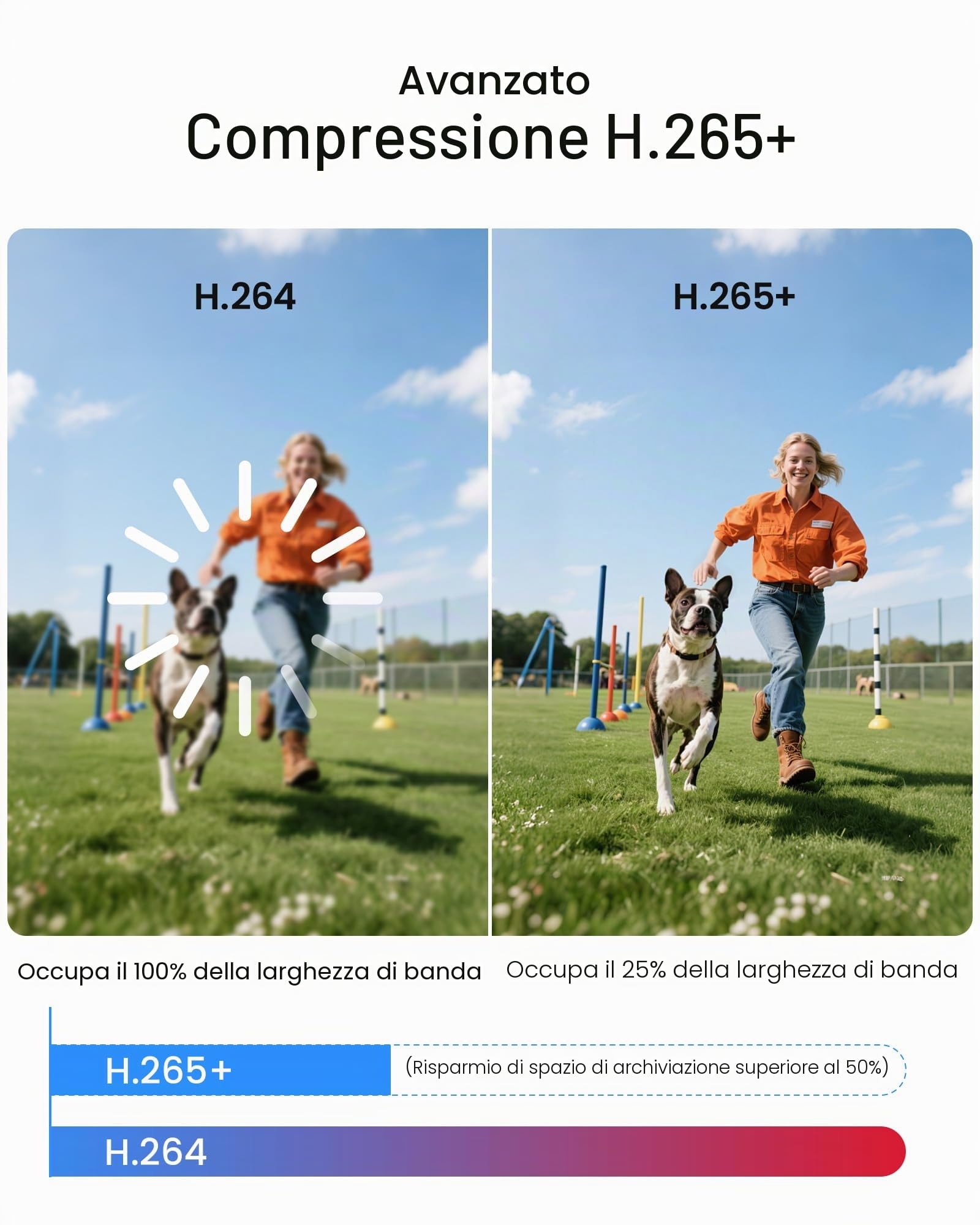 ZOSI Kit Telecamera Sorveglianza Esterna Cablata 1080P con DVR 8CH 500GB | Rilevamento di Persone/Veicoli, Visione Notturna IR 24 m, Angolo di Visione 90°, Avviso Istantaneo tramite APP gratuita