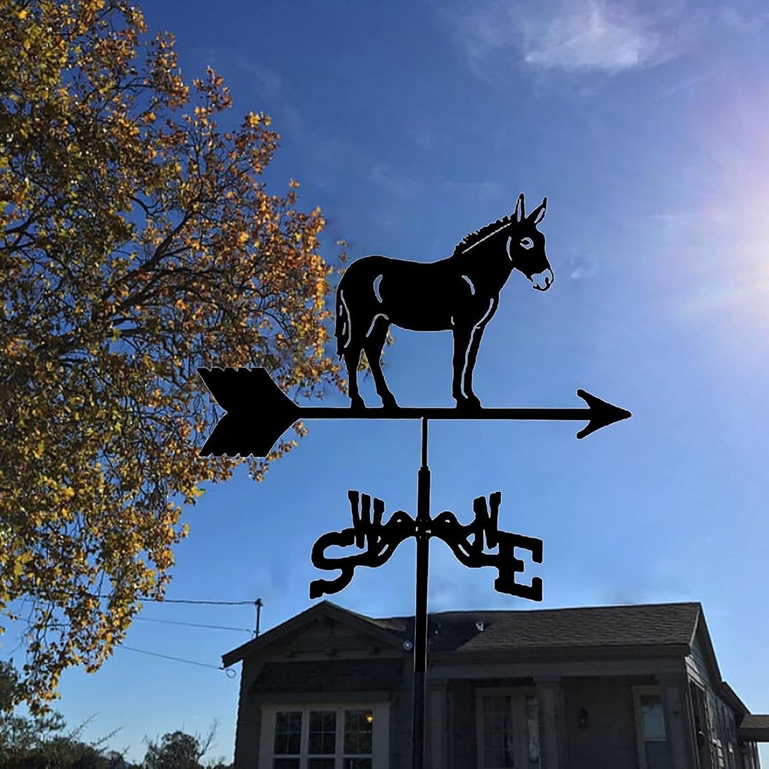 Weathervane Metal Stainless Steel Weather Vane with Mounting Bracket Wind Vane Decoration Mule Horse Design East South West North Wind Direction Indicator Measuring Tool(A)