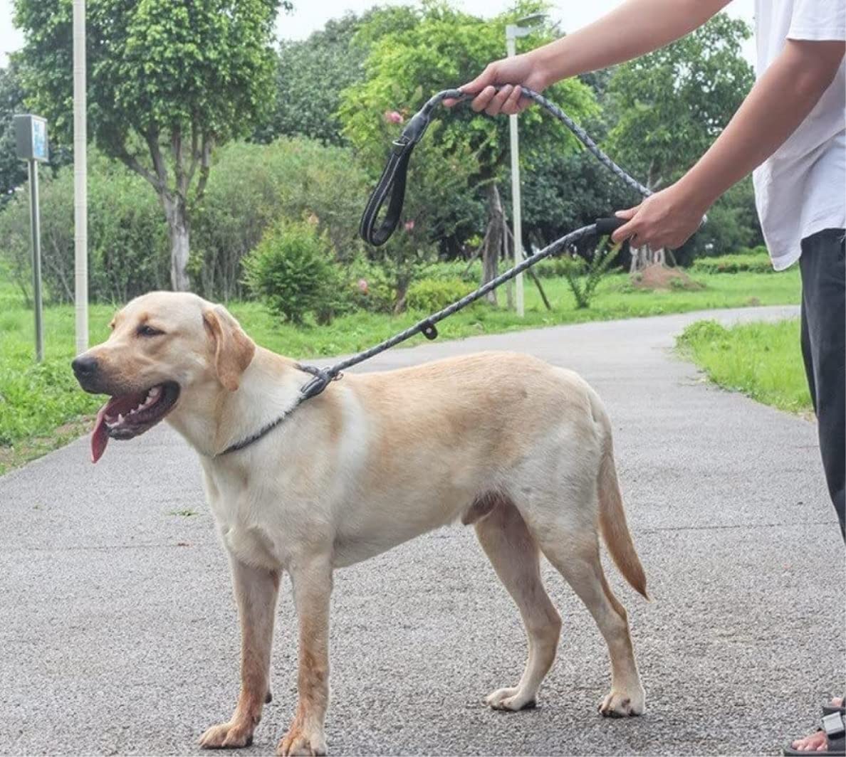 Correa Perro Cadena P Reflectante Collar Deslizante Grande Mascota Caminar Plomo Perro Escalada Cuerda Cómoda Correa Perro Suave(Oranje,13mmX150cm)