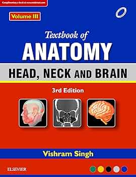 洋書 SYLLABUS BINCHE III 洋雑誌、洋書、輸入手芸のマガジンマート - SYLLABUS BINCHE Ⅲ