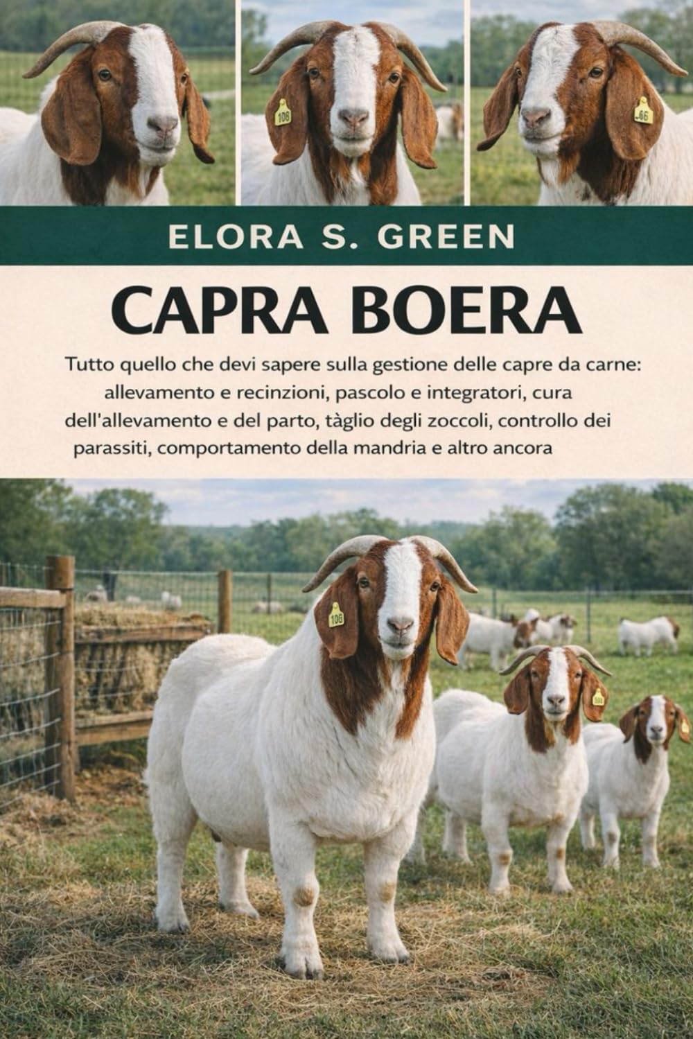 CAPRA BOERA: Tutto quello che devi sapere sulla gestione delle capre da carne: allevamento e recinzioni, pascolo e integratori, cura dell'allevamento ... comportamento della mandria e altro ancora