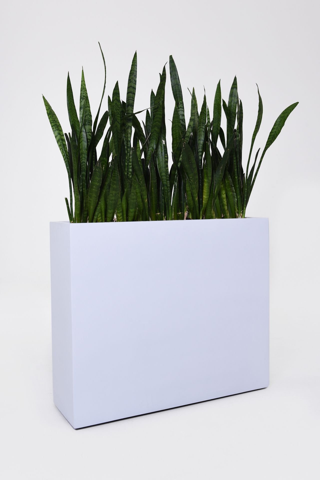 VIVANNO Großer Pflanzkübel Raumteiler auf Rollen - Fiberglas Weiß Matt | Wetterfester Blumenkübel 88x75x30 cm für Außen & Innen, inkl. Zwischenboden, mobil für Gastronomie & Hotel
