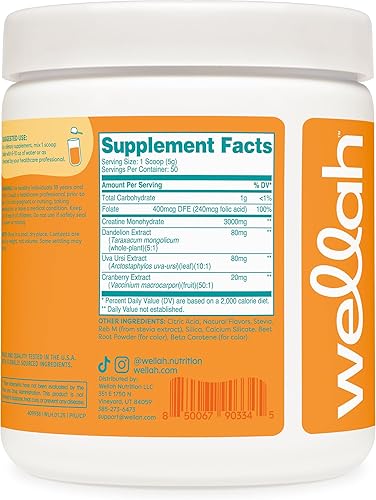 Miniatura 54 de Wellah Creatina para mujer - Monohidrato de creatina con diente de león y extracto de arándano (50 porciones, sandía granizado)