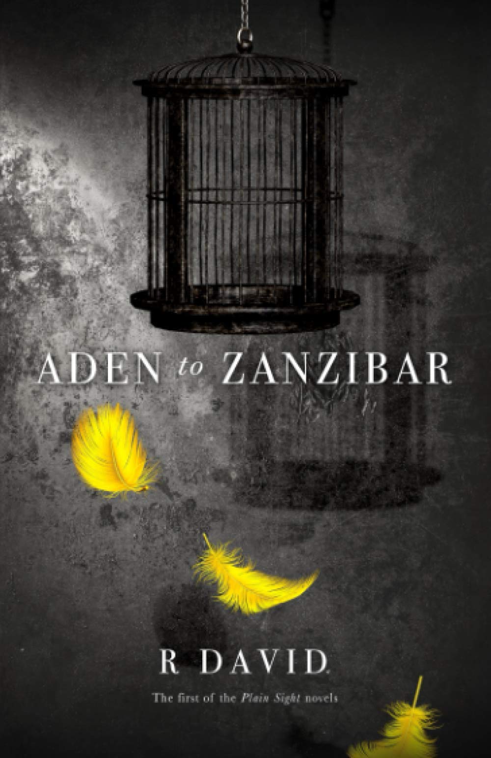 Aden to Zanzibar (The Plain Sight Novels)