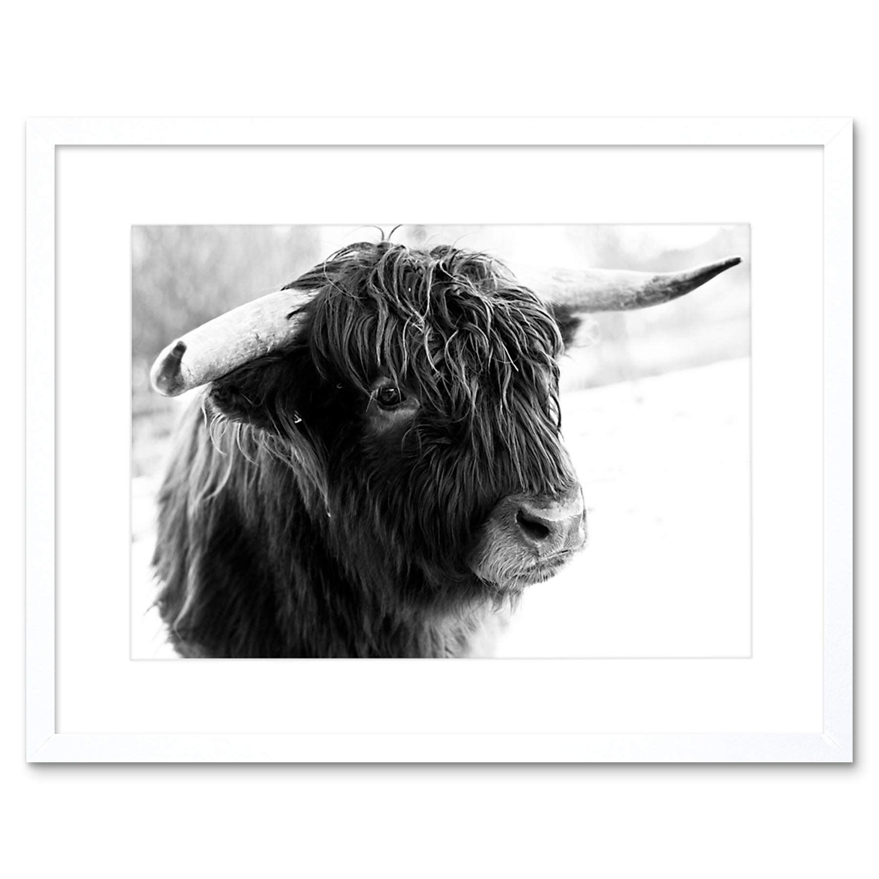 Wee Blue Coo Photo Composition Animal Livestock Highland Cow Bull Framed Wall Art Print