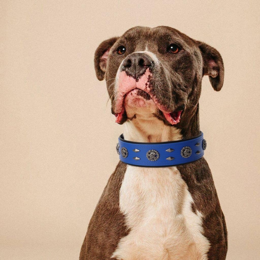 Premium Leather Dog Collar for Large Dogs - 2-Inch Wide Adjustable Soft Handmade Heavy Duty Collar for Giant Breeds, Durable & Comfortable - Blue