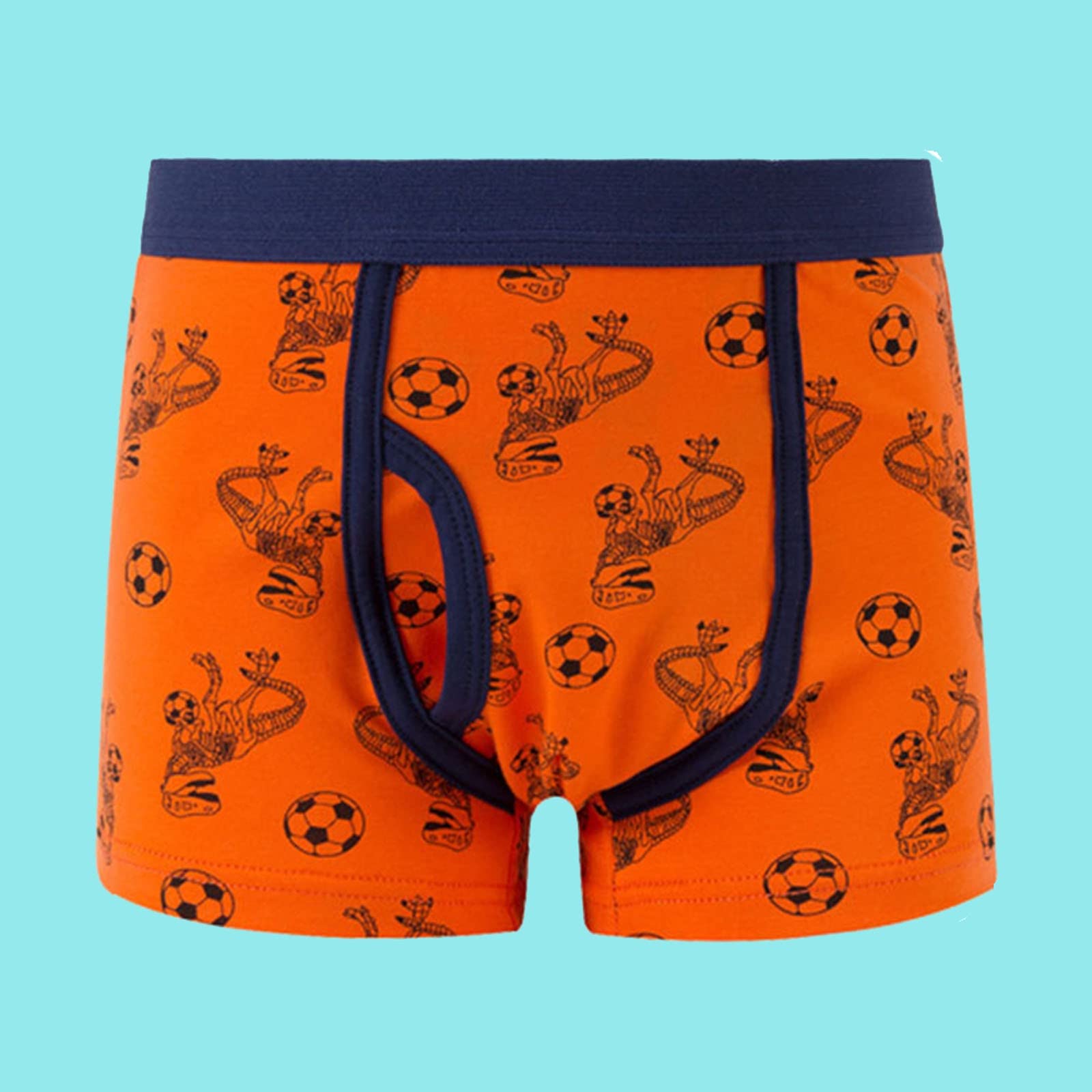 Boxer Pantalons Dinosaure Dessin Animé Enfants Garçons Culottes Plates Slip Sans Couture Ensemble 5 Pièces