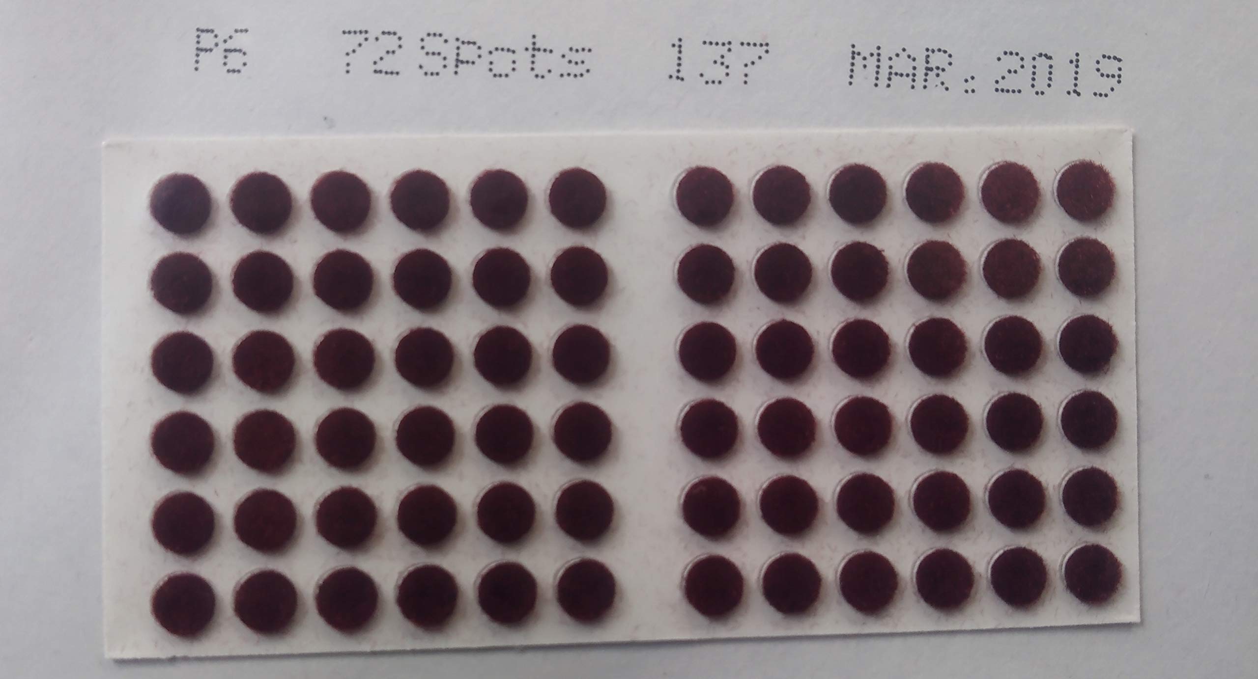 Pallavi (P6DM) P6 Dark Maroon bindis(pack of 10 flaps)-image-49