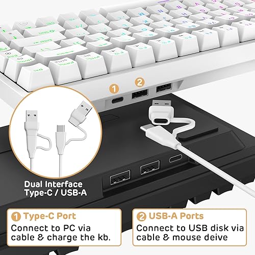 Miniatura 4 de RK ROYAL KLUDGE RK84 Teclado mecánico con cable RGB 75% intercambiable en caliente, teclado para juegos TKL sin llave de 84 teclas con software