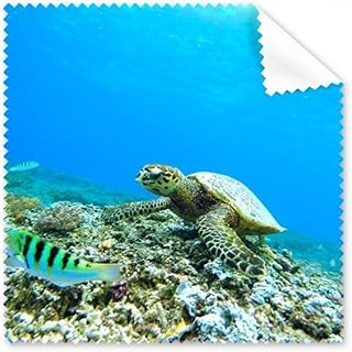 Ocean Sea Turtle Fish Science Nature Picture Cleaning Cloth Phone Screen Glasses Cleaner 5pcs