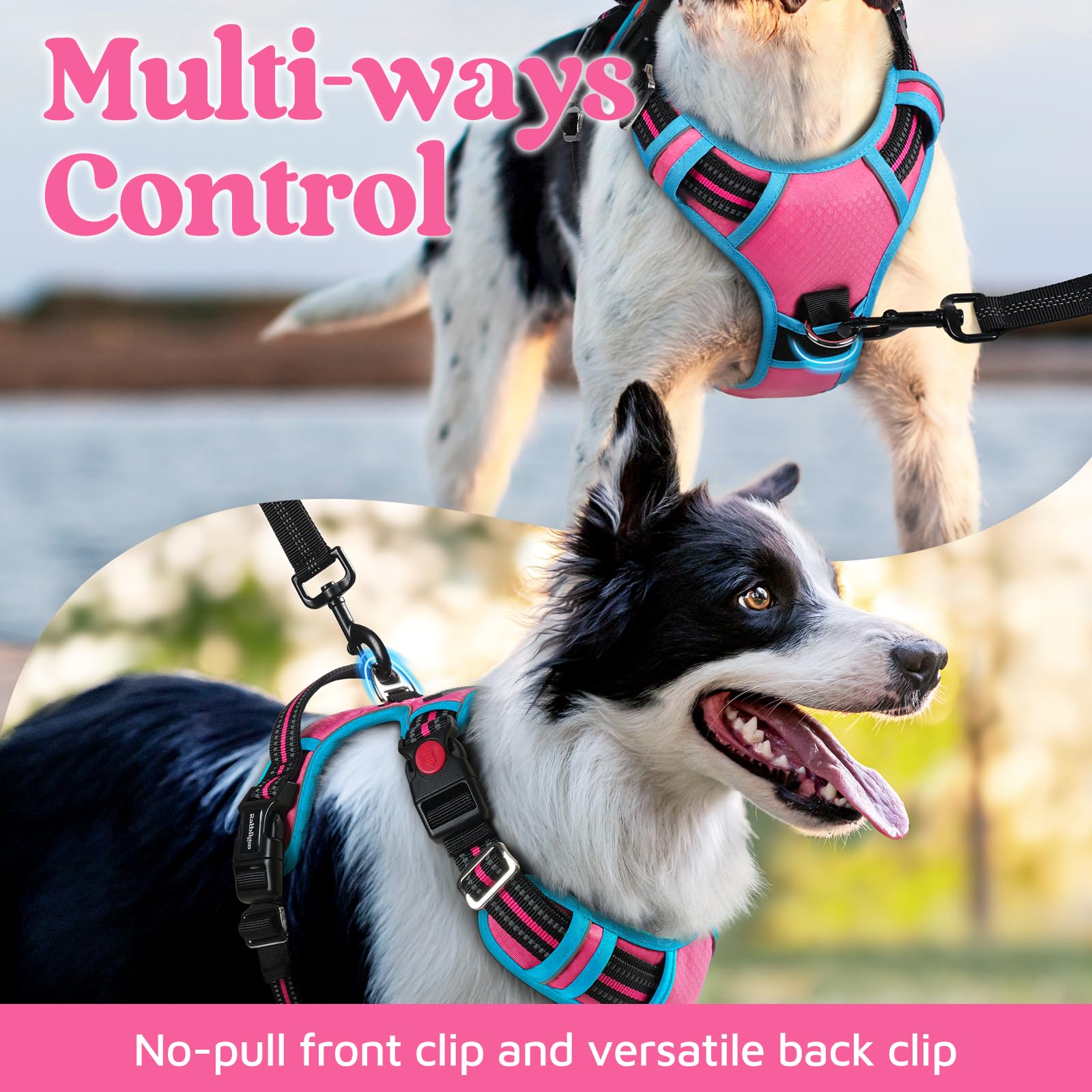 rabbitgoo Harnais pour chien de petite taille, gilet anti-traction pour chien avec 3 boucles, harnais rembourré doux réglable avec poignée de contrôle facile et bandes réfléchissantes, rose et bleu,