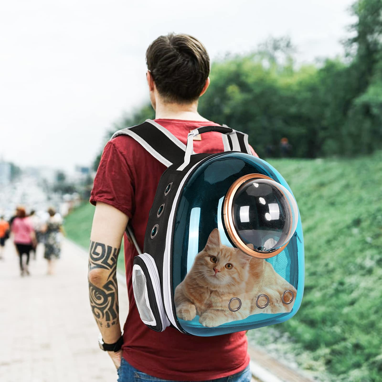 PETCUTE Sac à Dos pour Chat à Capsule Spatiale Ventilée, Sac à Dos pour Animaux de Compagnie avec Harnais Intérieur,Sac de Transport pour Petits Chiens,Convient pour Les Voyages,Bleu