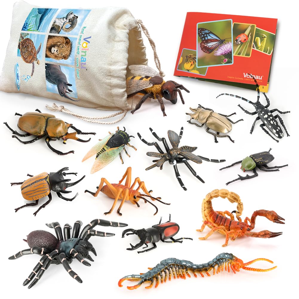 Volnau Insect Toys Figurines 13PCS Bug Toys Figure Pack Decorations Educational Cicada Toy Bee Beetle Spider Plastic Model