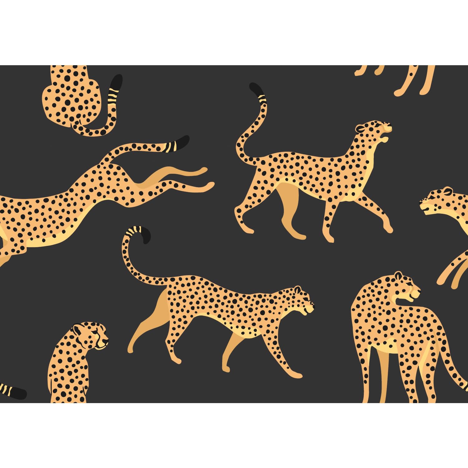 RoomMates RMK11986RL Black and Orange Cheetah Cheetah Peel and Stick Wallpaper