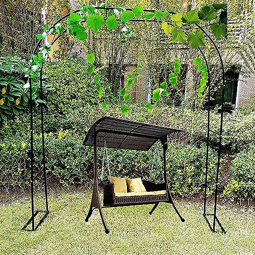 Arche pour plantes grimpantes et rosiers en métal noir L300cm