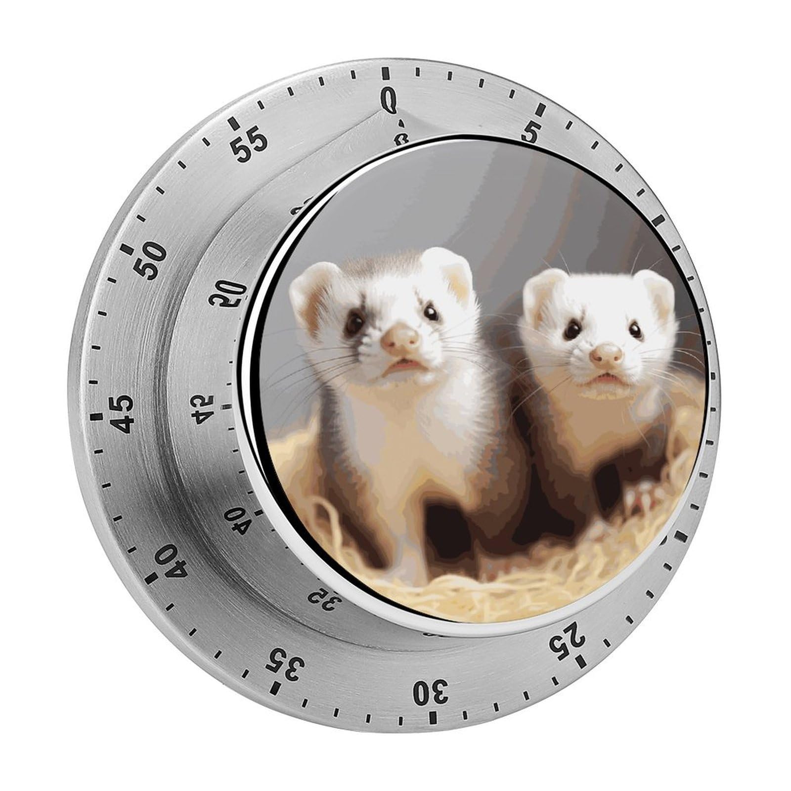 Ferrets Timer Desk Productivity Teacher Supplies Kitchen Magnetic Countdown Mechanical Timer for Cooking, Egg, Teacher, Exercise, Oven.