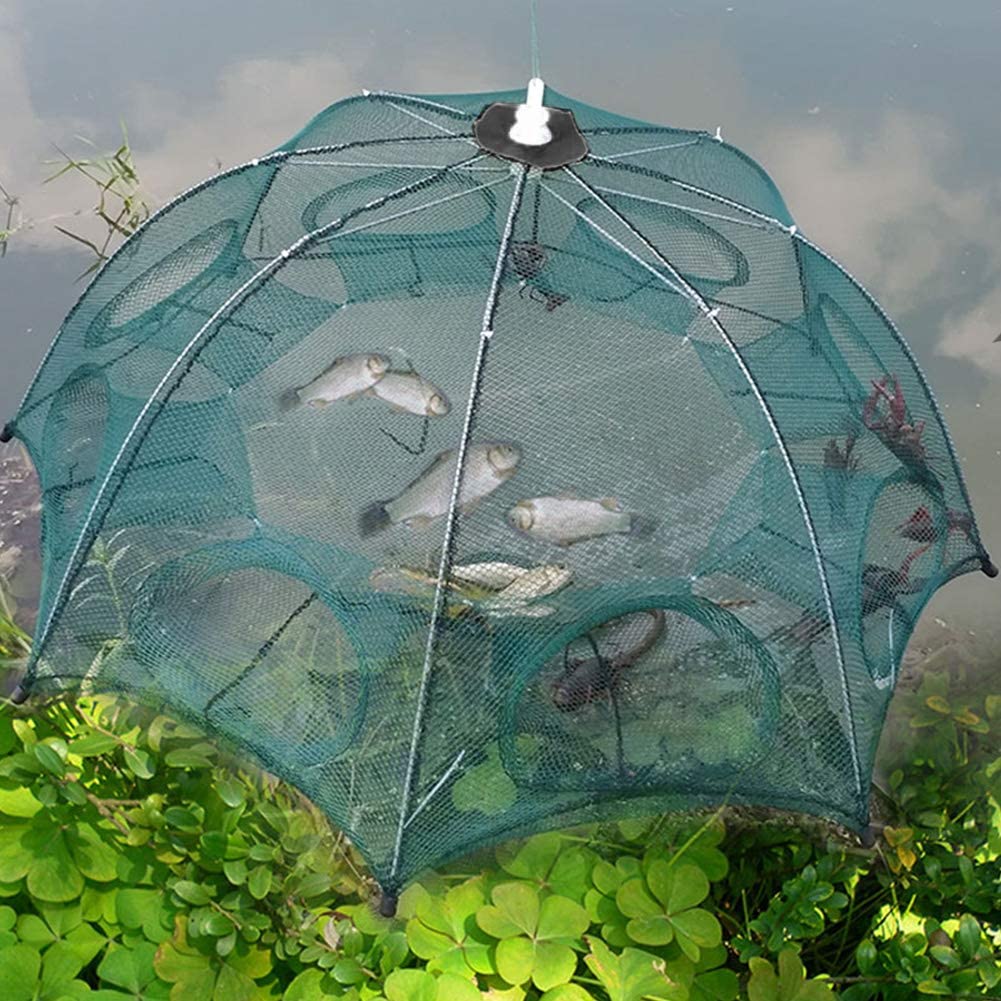 plplaaoo Red de Trampa de Pesca Port¨¢Til,Red de Pesca, 8 Agujeros Trampas Peces de Malla de Pesca Red de Pesca Plegable de Nailon para atrapar anguilas cangrejos, Langostas, camarones y cangrejos