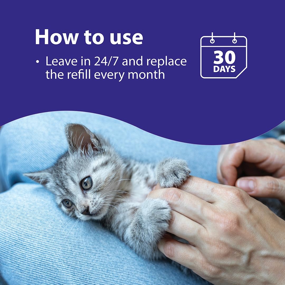 FELIWAY Battle Feliway 1 Month Refill 48ml EU/UK D75320B