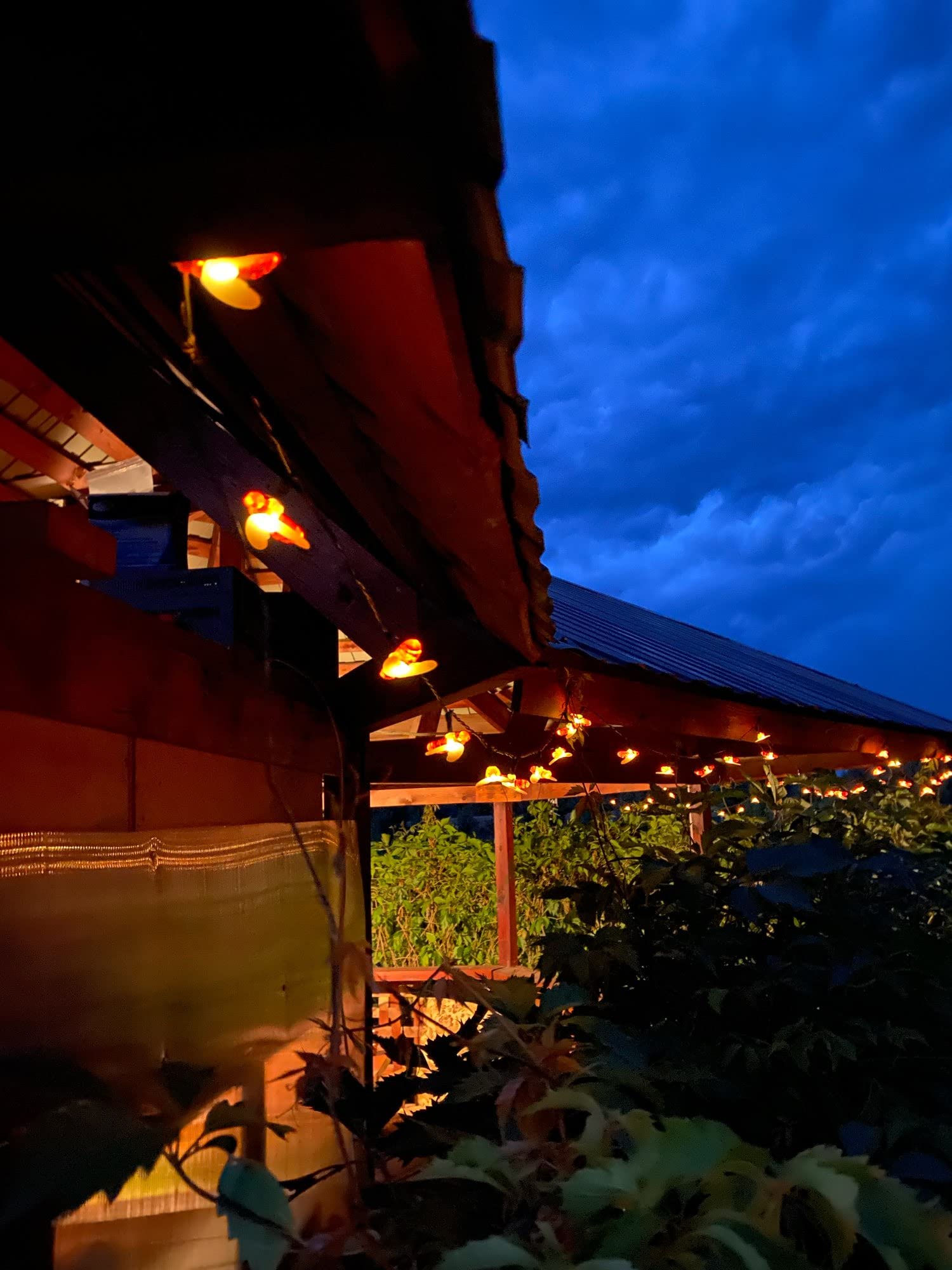 DINOWIN Honey Bees Lights, Bee String Lights 2M 20 LED Honey Bees Battery Power for Outdoor Garden Summer Party Wedding Xmas Decoration (Warm White)