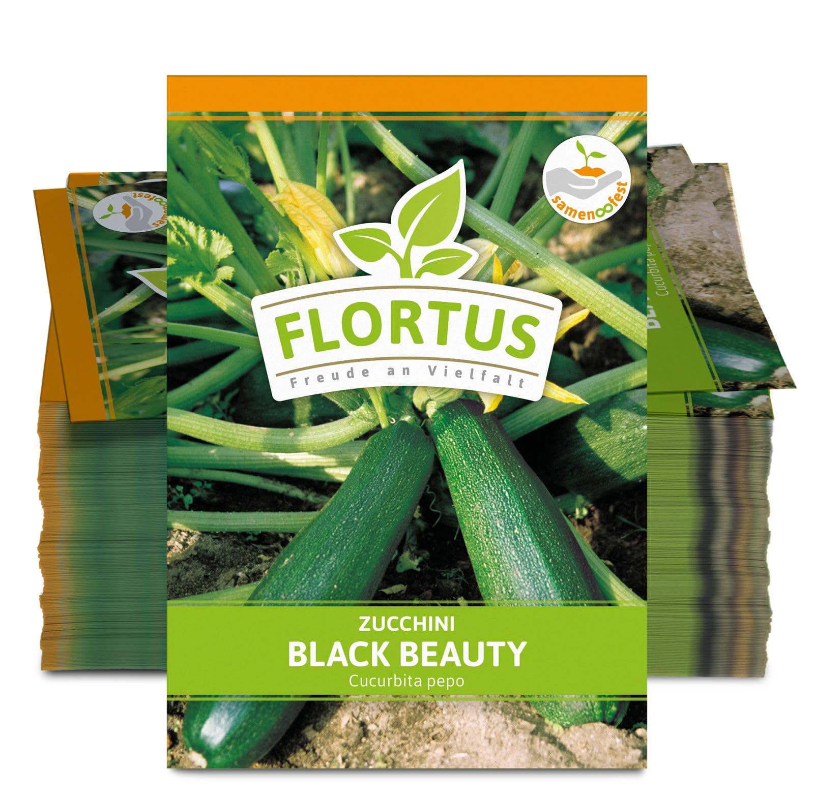 FLORTUS 2000-0471-100x Zucchini Black Beauty (100 Stück) (Zucchinisamen)