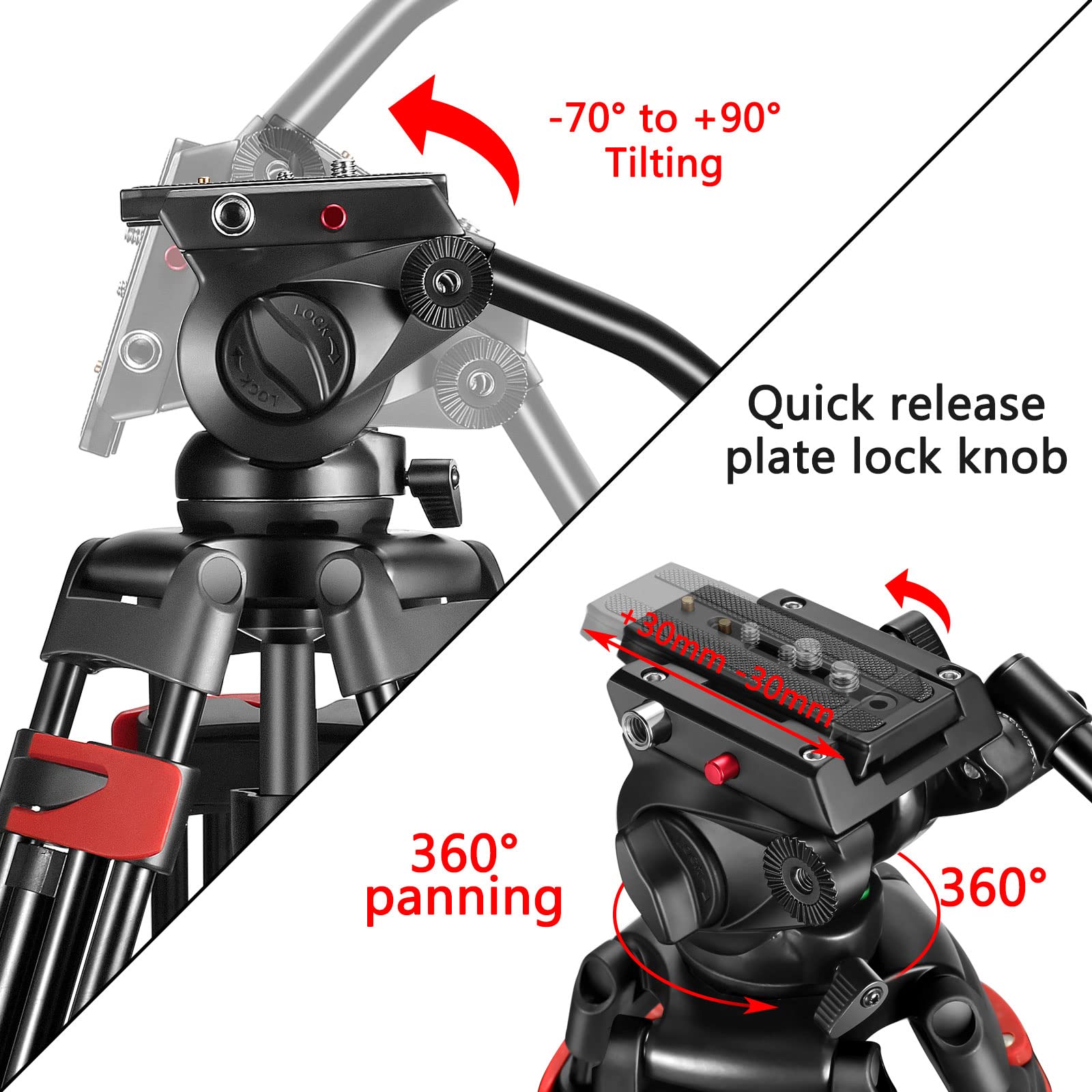 https://m.media-amazon.com/images/I/71cXLpcRvpL.jpg