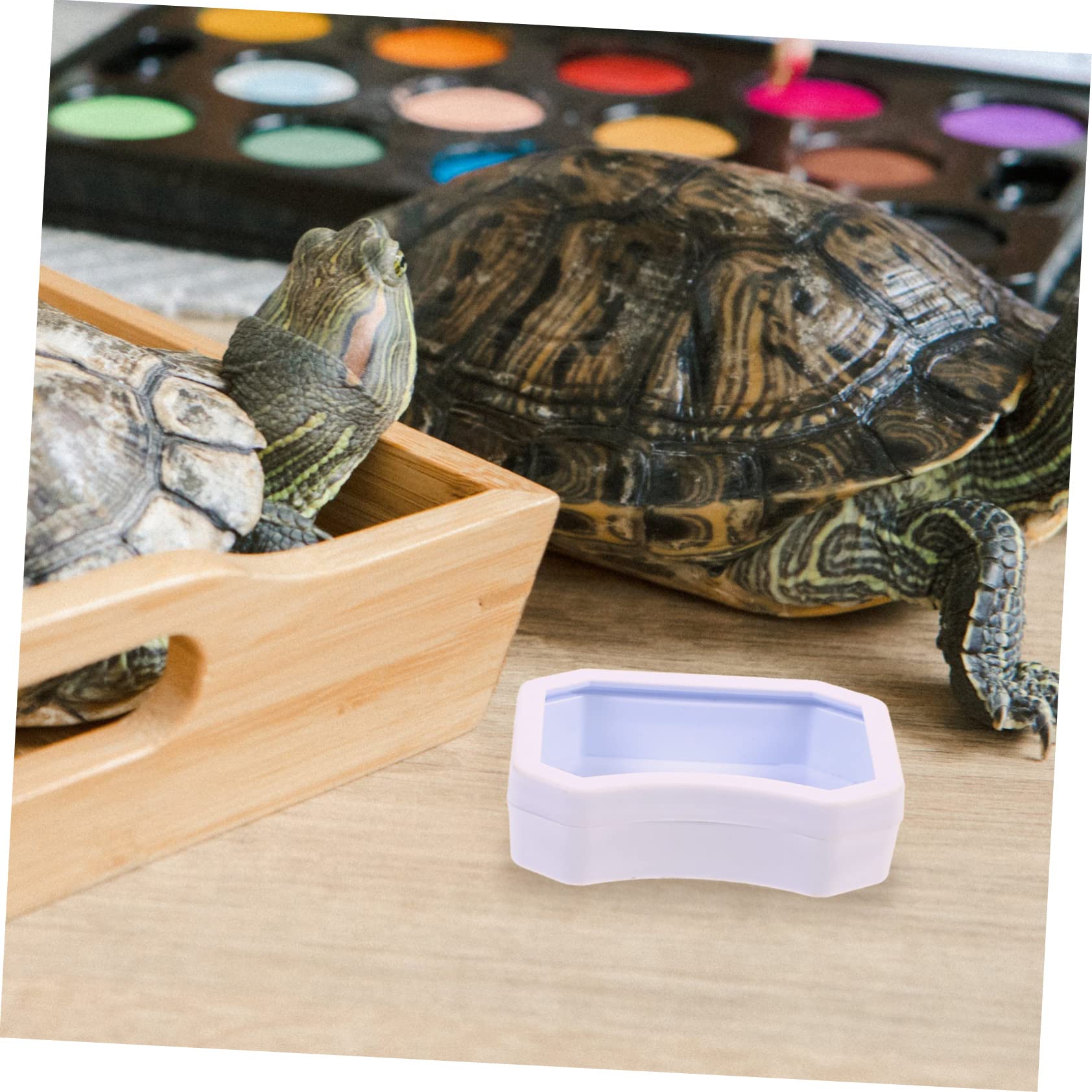 BESPORTBLE 40 Piezas Tazón De Comida para Mascotas Trepadoras Dispensador De Comida Lagarto Plato De Agua De Reptil Contenedor De Comida para Mascotas Comedero para Rana El Plastico