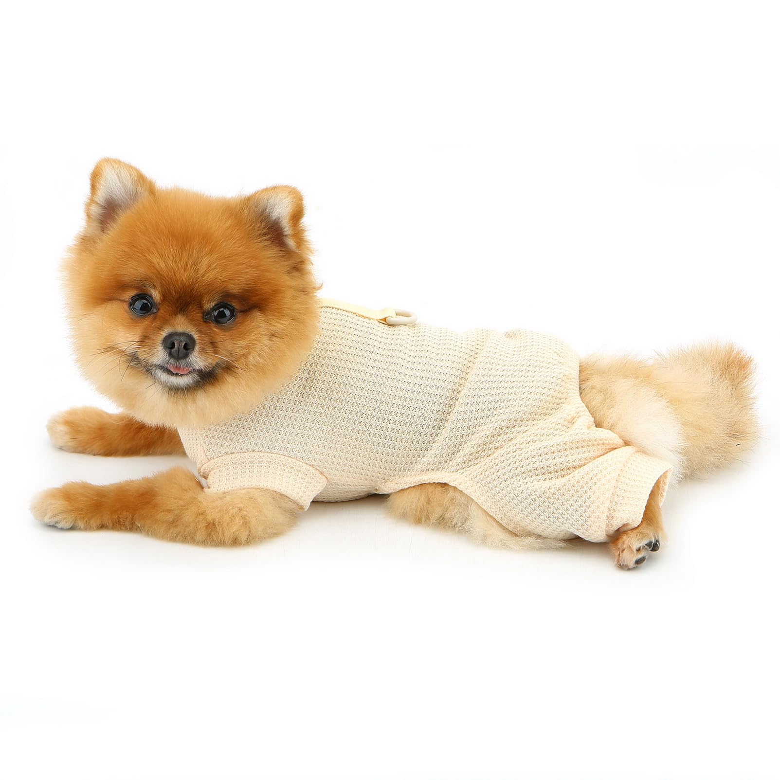 View 8