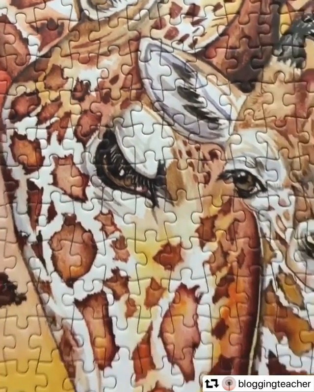 anamal　15個 Amazon.com: Anatolian Puzzle - Giraffe, 500 Piece Jigsaw Puzzle