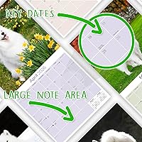 Vista 694 de Razas de Perros 2017