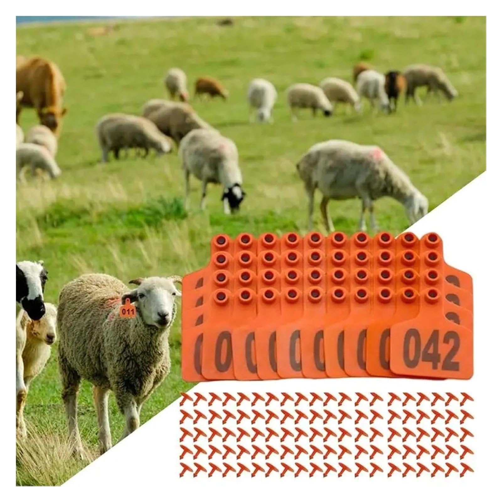 Marchio auricolare Marchi auricolari for bestiame TPU