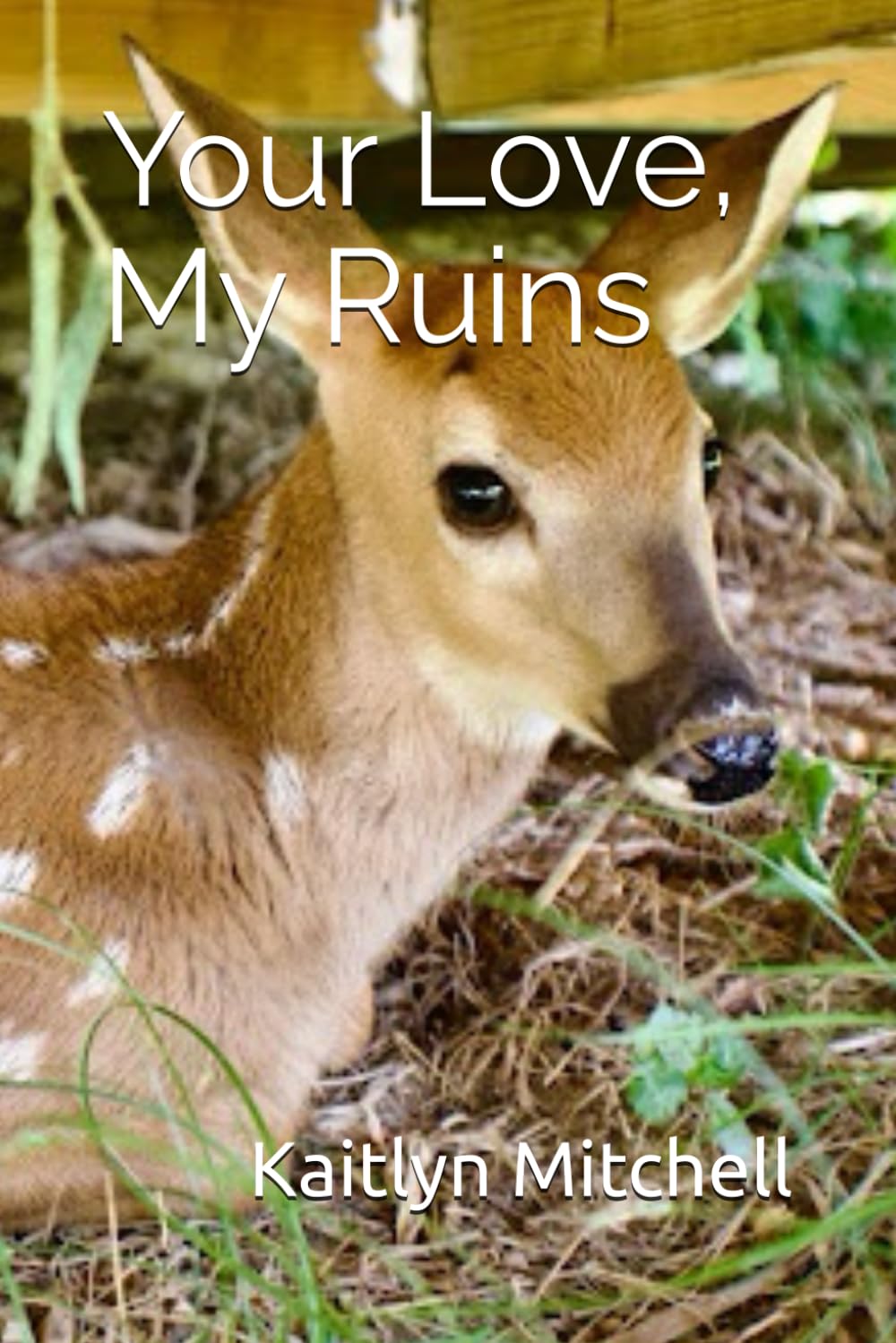 Your Love, My Ruins